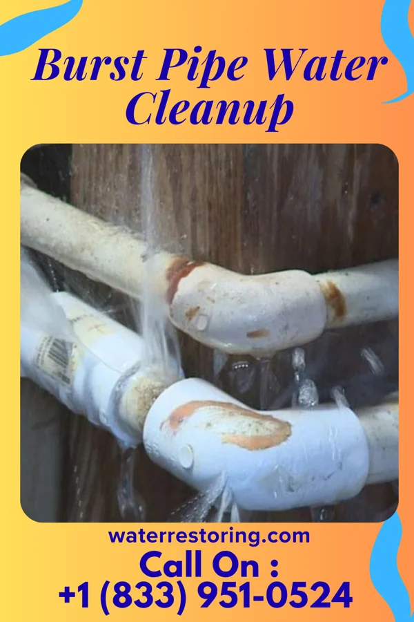 Burst Pipe Water Cleanup in Shorehaven, NY