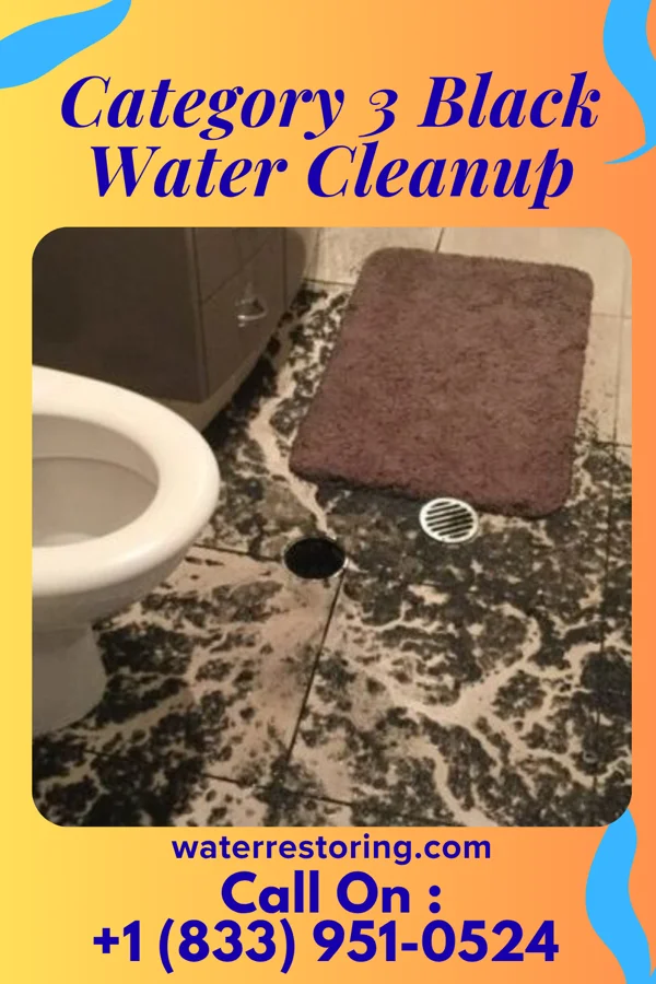 Category 3 Black Water Cleanup in Shorehaven, NY