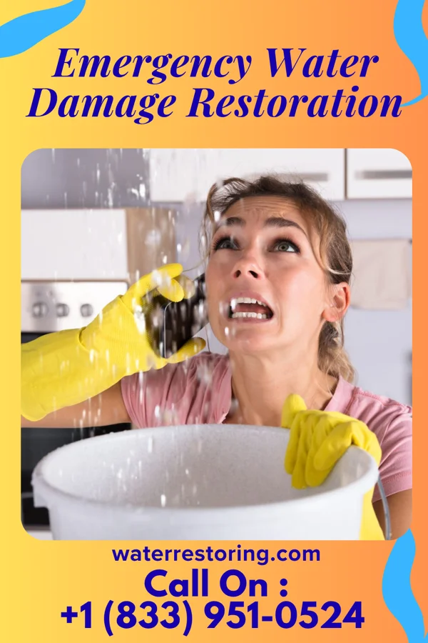 Emergency Water Damage Restoration in Shorehaven, NY