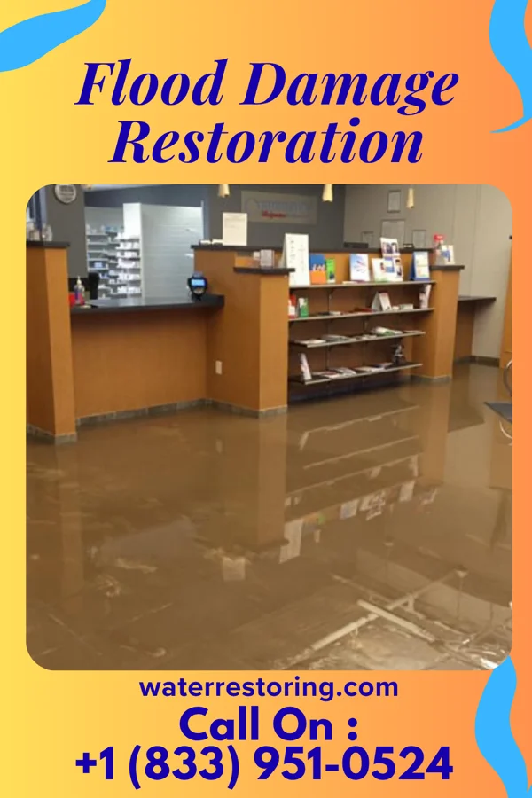 Flood Damage Restoration in Shorehaven, NY