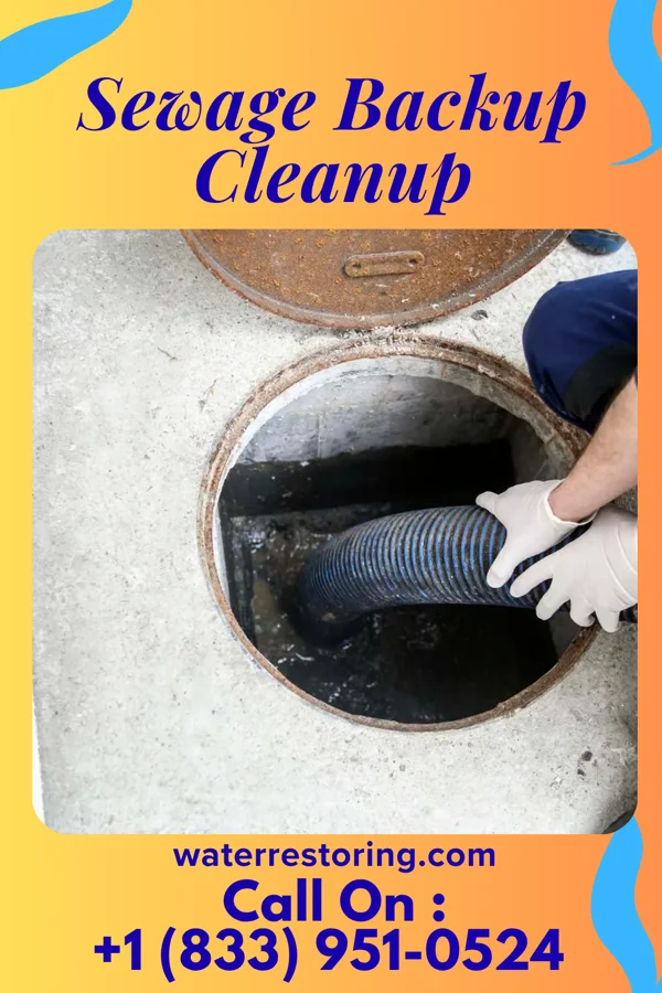 Sewage Backup Cleanup in Shorehaven, NY