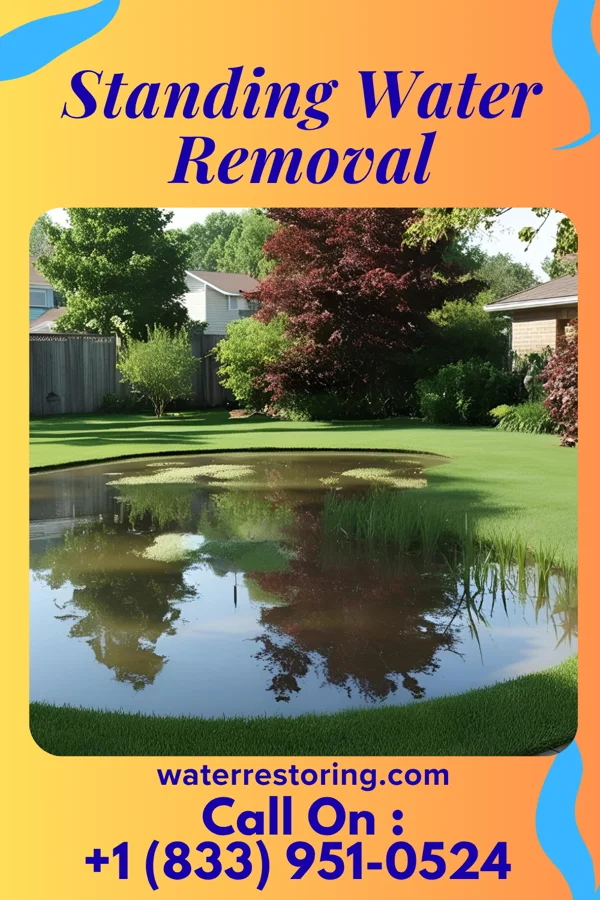 Standing Water Removal in Shorehaven, NY